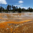 Bakterien am Silex Spring