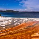 Bakterienmatte mit Yellowstone Lake, Wyoming, USA