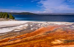 Bakterienmatte mit Yellowstone Lake, Wyoming, USA