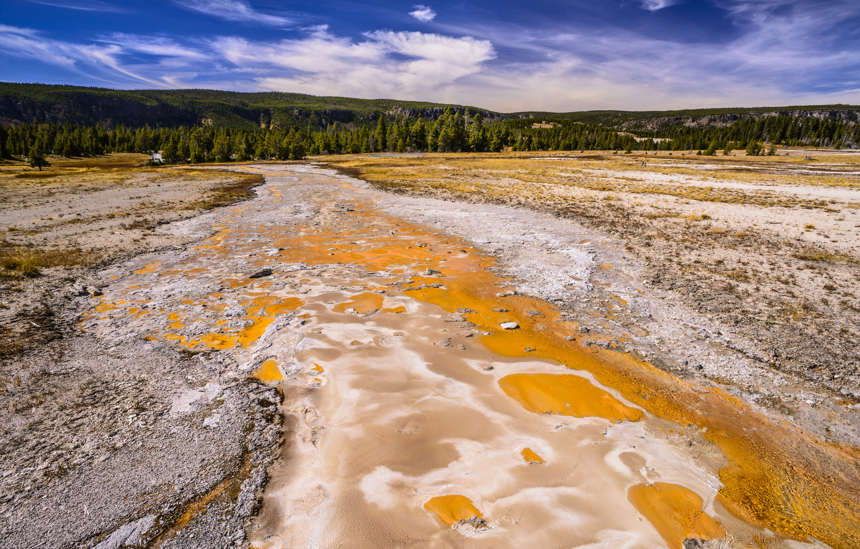 Bakterienmatte, Yellowstone NP, Wyoming, USA