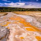 Bakterienmatte, Yellowstone NP, Wyoming, USA
