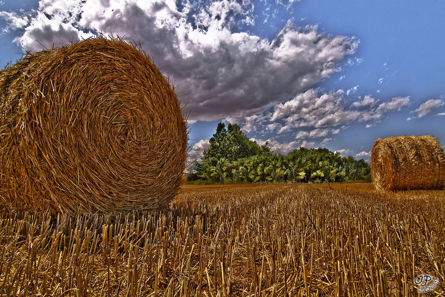 Bala de paja (HDR)