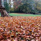 Balada de otoño