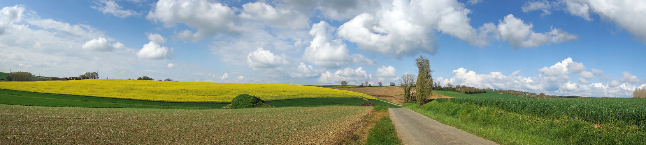 Balade à la campagne