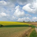 Balade à la campagne