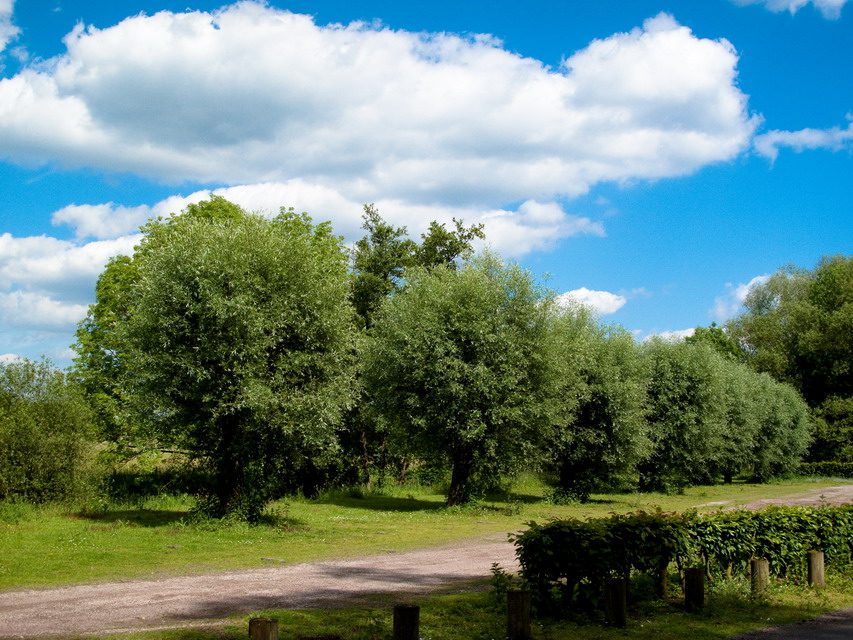 Balade à la campagne