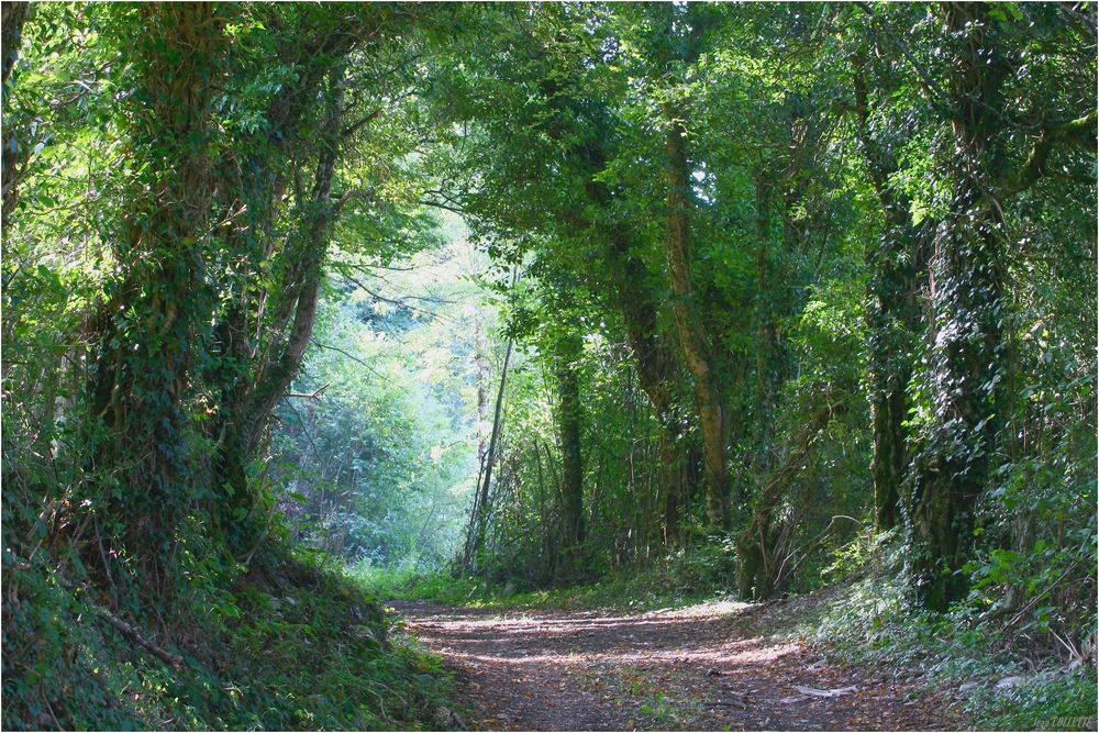 " Balade à la campagne "