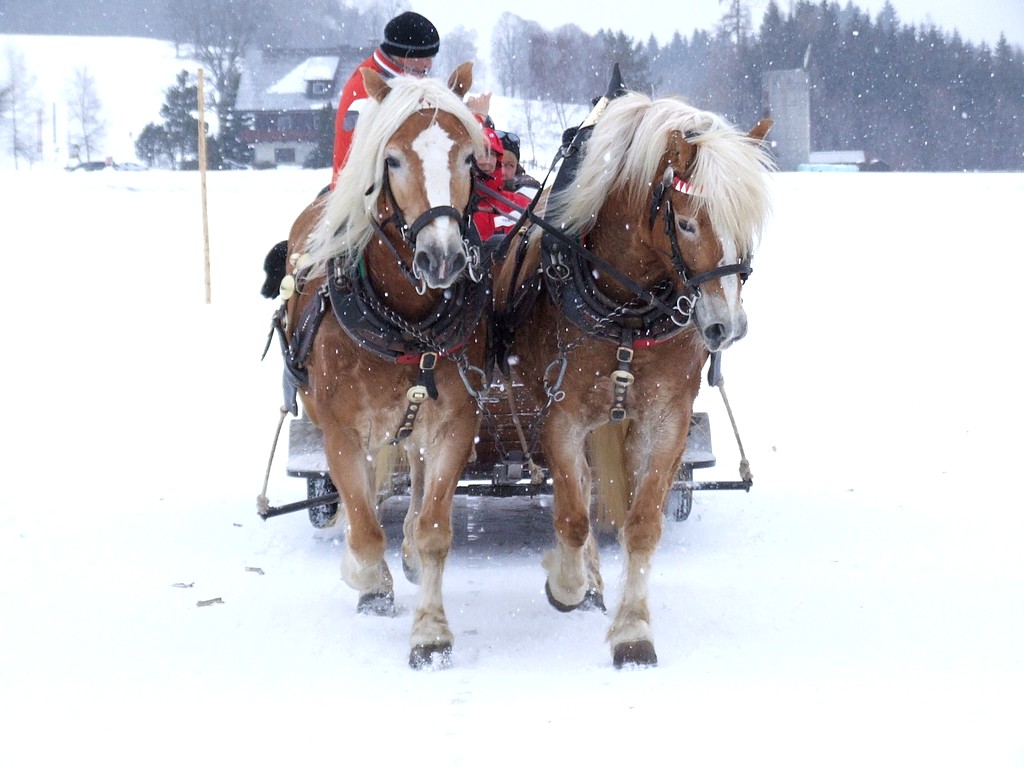 Balade à Ramsau Autriche