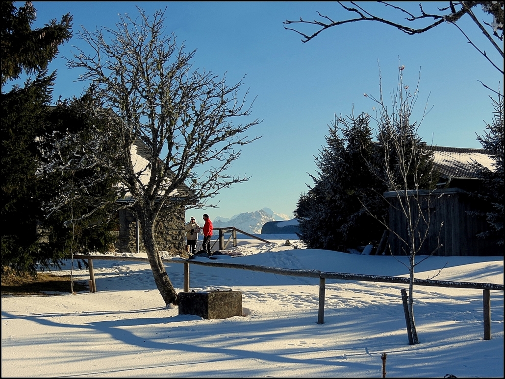 Balade à Trélemont