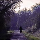 Balade à vélo en hiver - Winter-Radtour