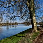 ... balade au bord de la Saône !!!...