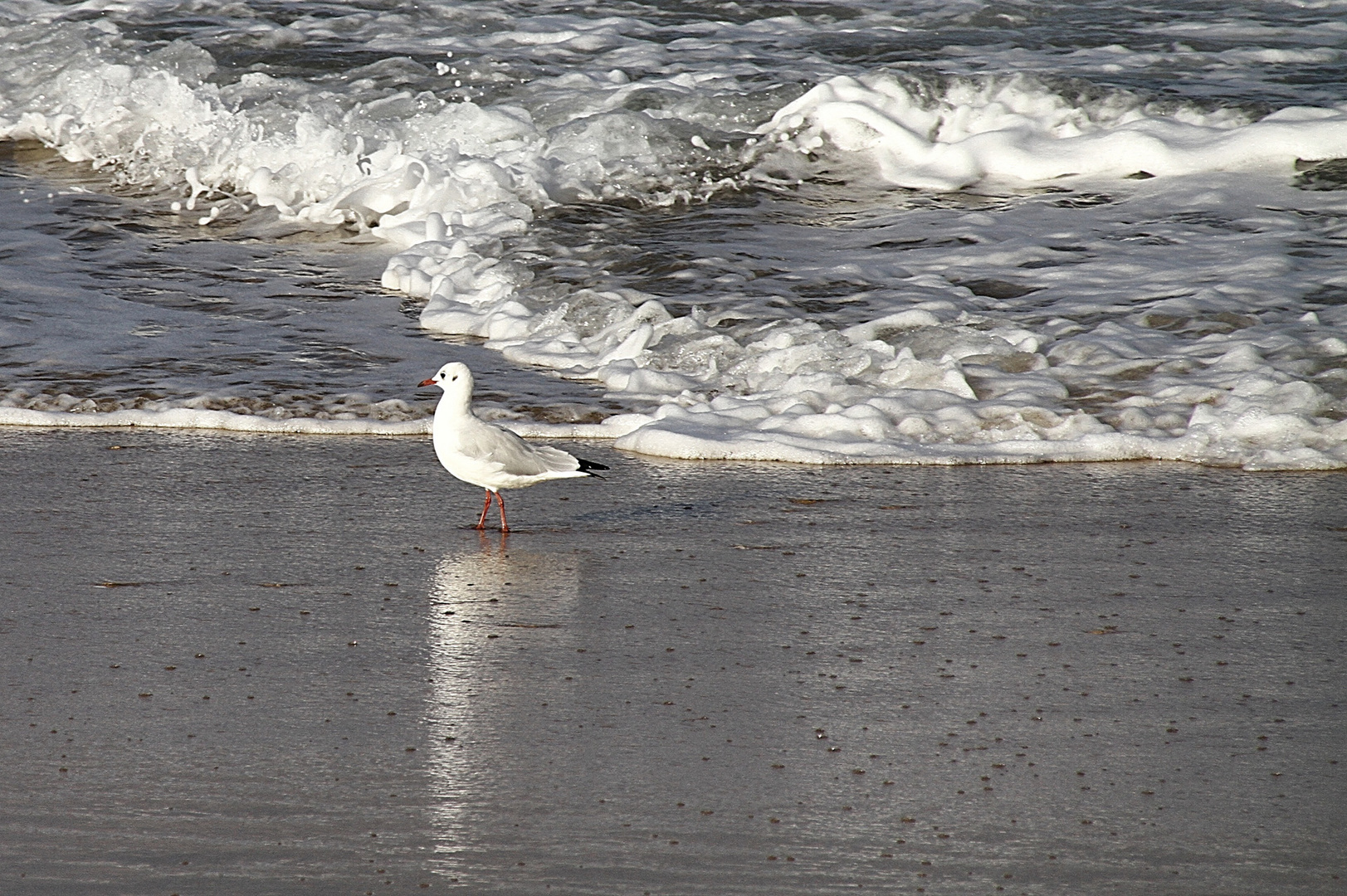 balade au bord de l'eau !