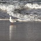 balade au bord de l'eau !