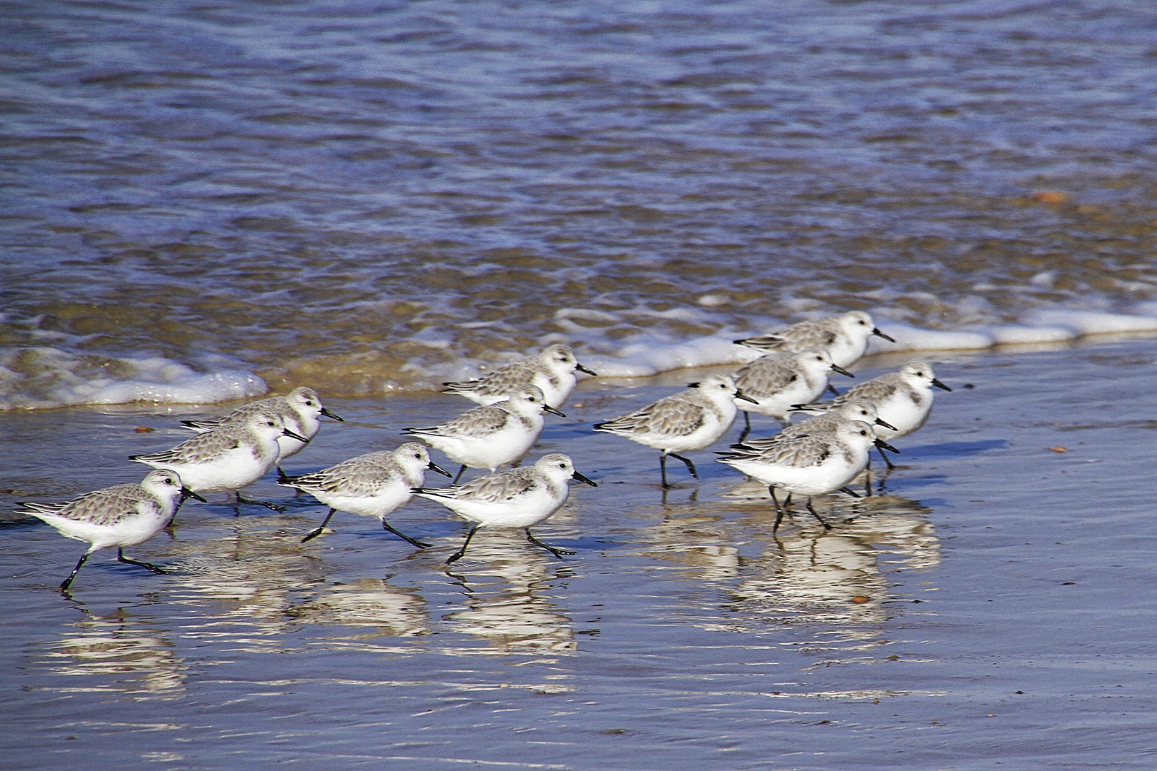 balade au bord de l'eau !