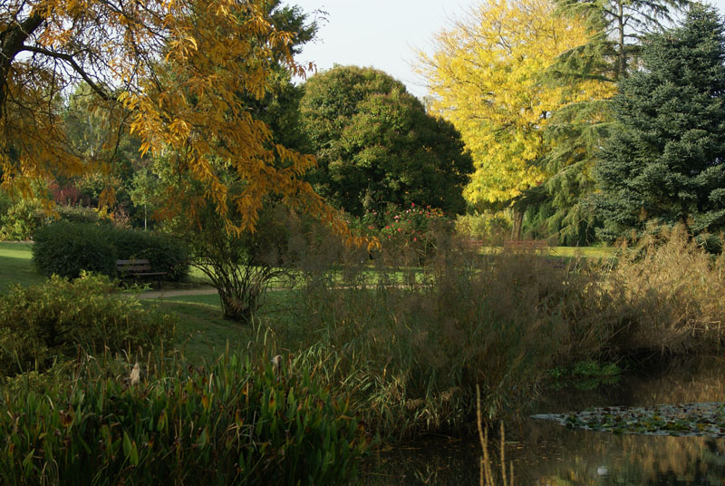 Balade au bord du lac