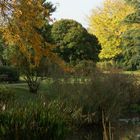 Balade au bord du lac