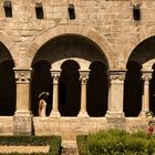 Balade au cloître.