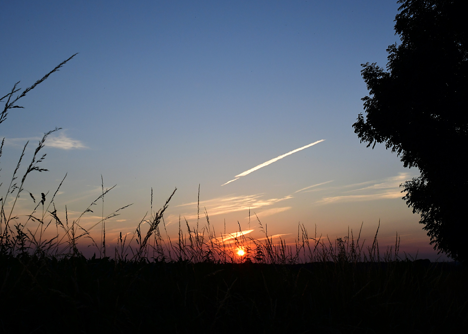 Balade au crépuscule