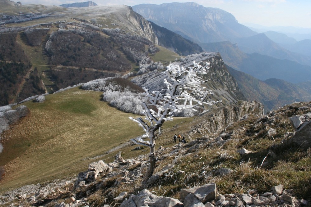 balade au dessus du col de Rousset, Drôme,Vercors.