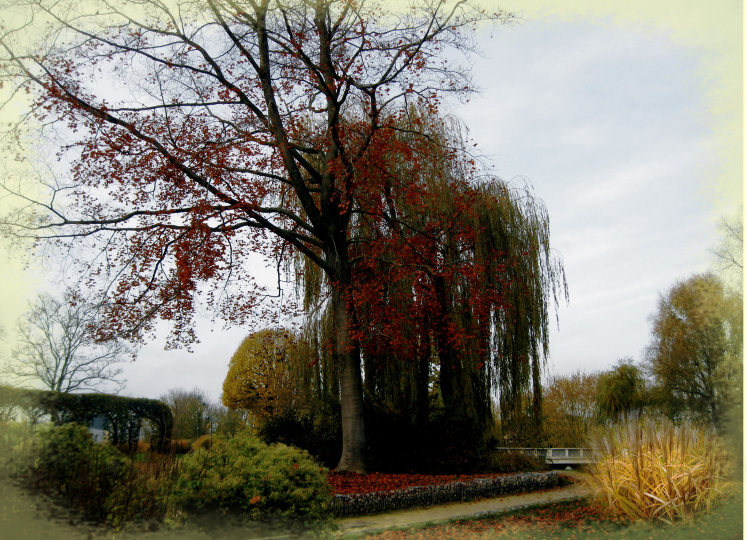 balade au parc