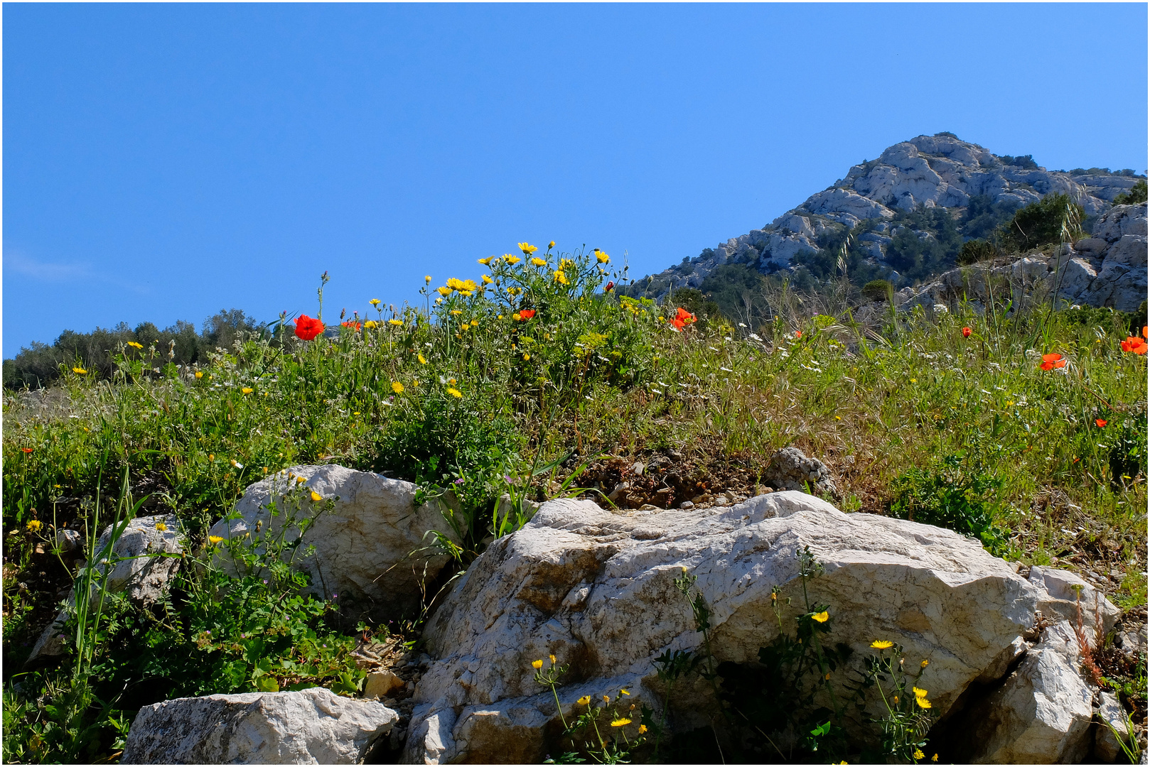 Balade-calanques