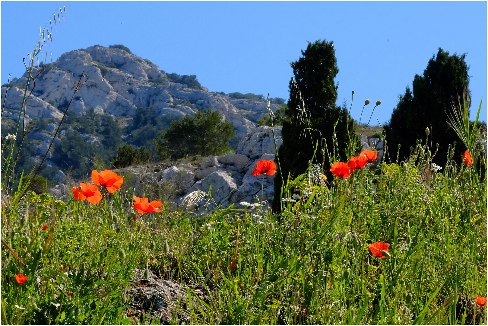 Balade-Calanques.2.