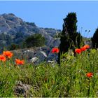 Balade-Calanques.2.