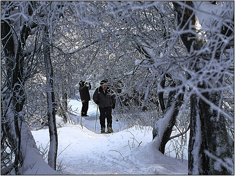 Balade dans la neige