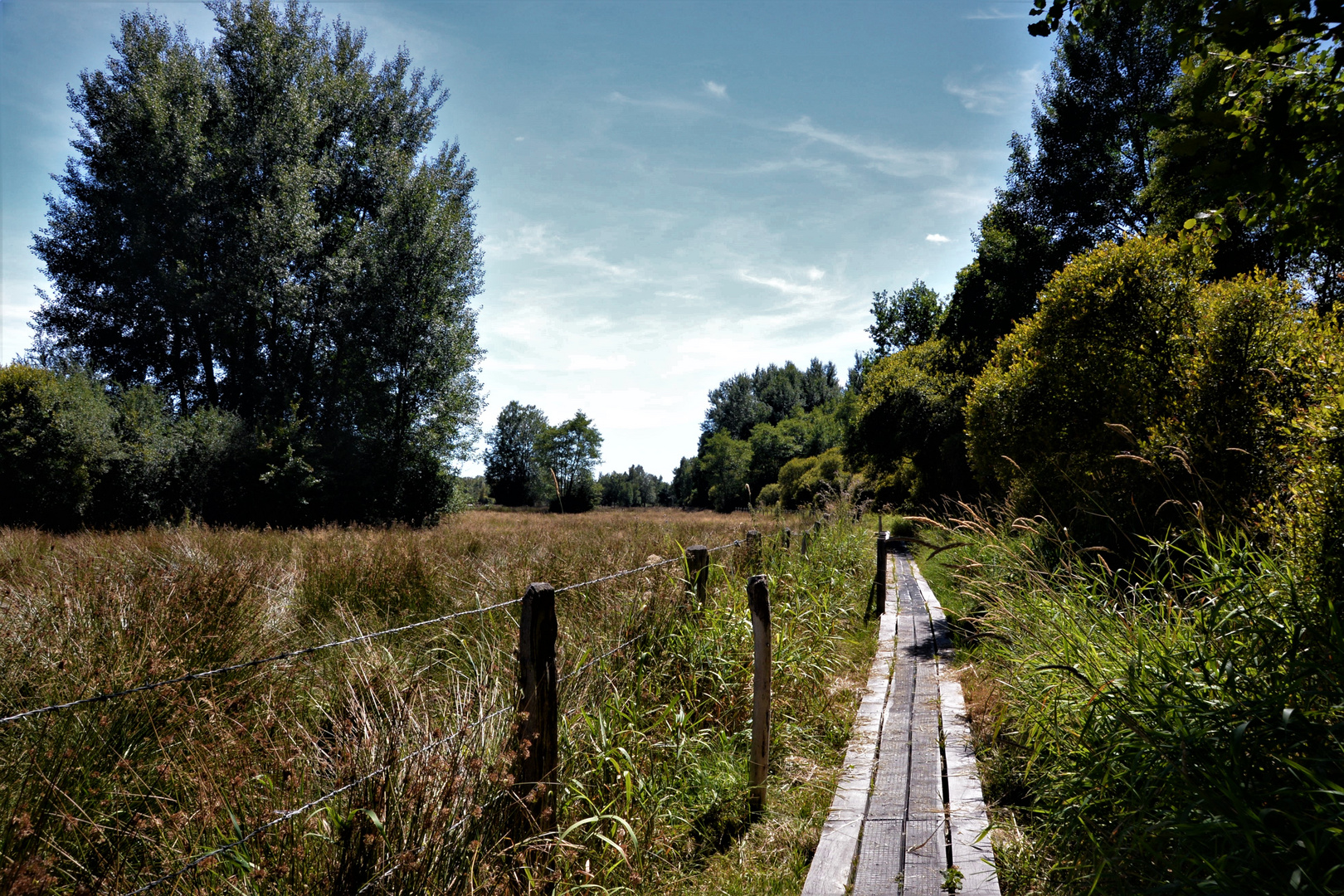 Balade dans le marais de Hazé (Orne)