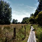 Balade dans le marais de Hazé (Orne)