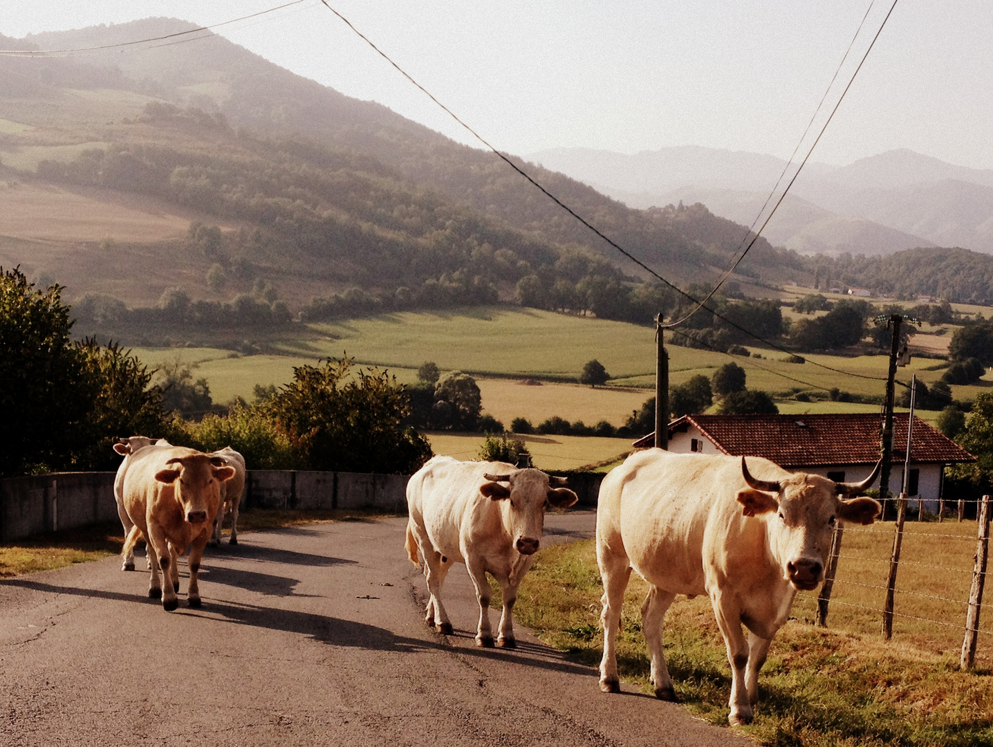 balade dans le sud