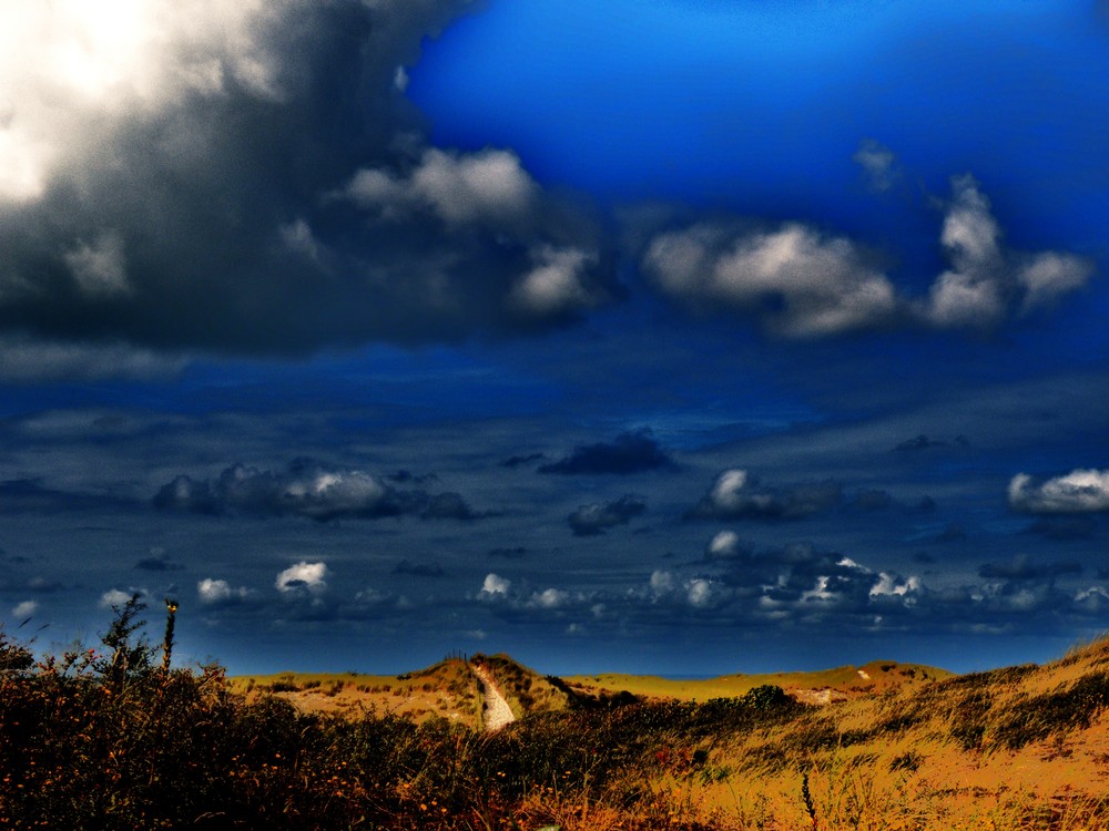 Balade dans les dunes