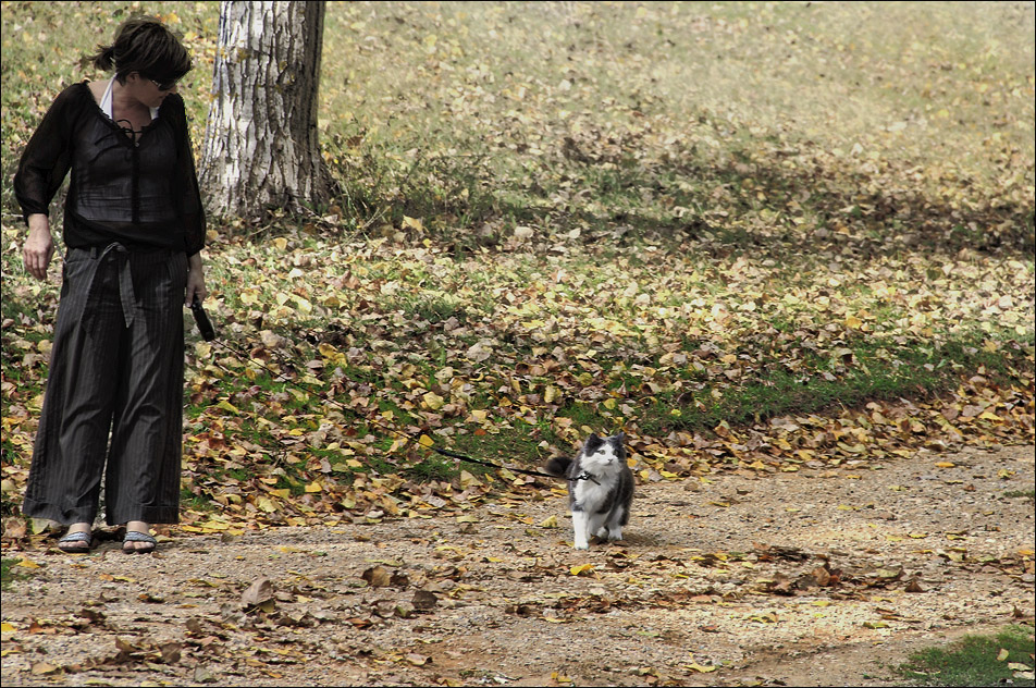 Balade d'automne