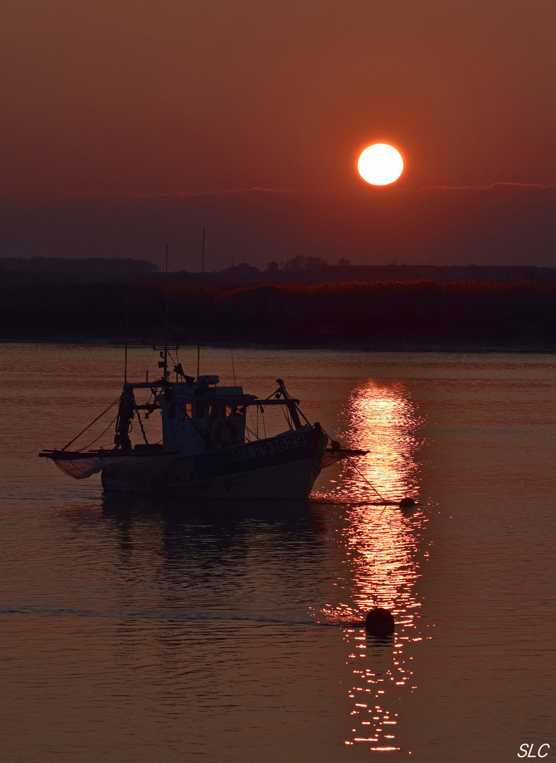 Balade du soir sur les bords de la Charente