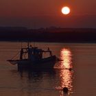 Balade du soir sur les bords de la Charente