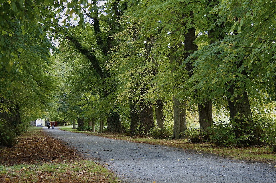 balade en automne