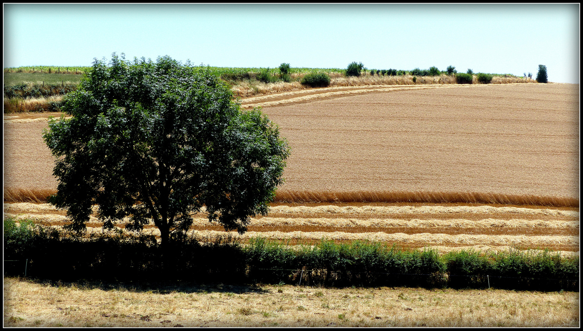 Balade en Aveyron -39 - 