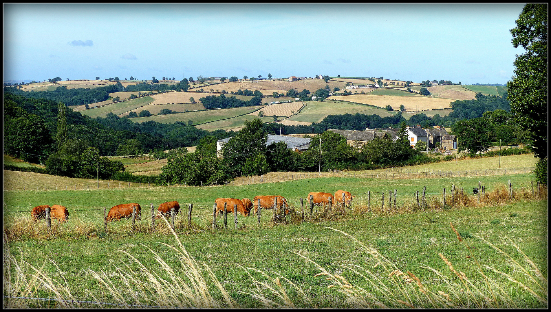 Balade en Aveyron -41 -