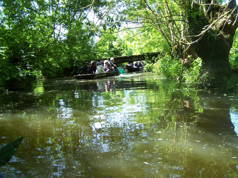 Balade en barque dans le Marais Poitevin