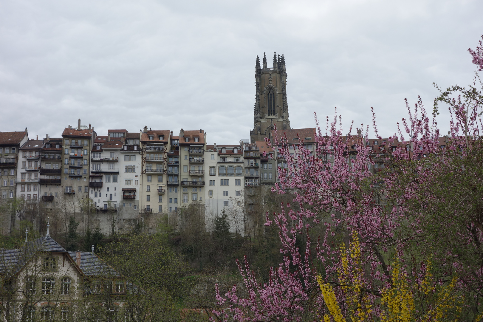 Balade en Basse-ville...