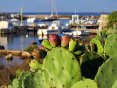 Balade en bord de mer