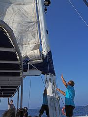 Balade en catamaran :…hisser la voile