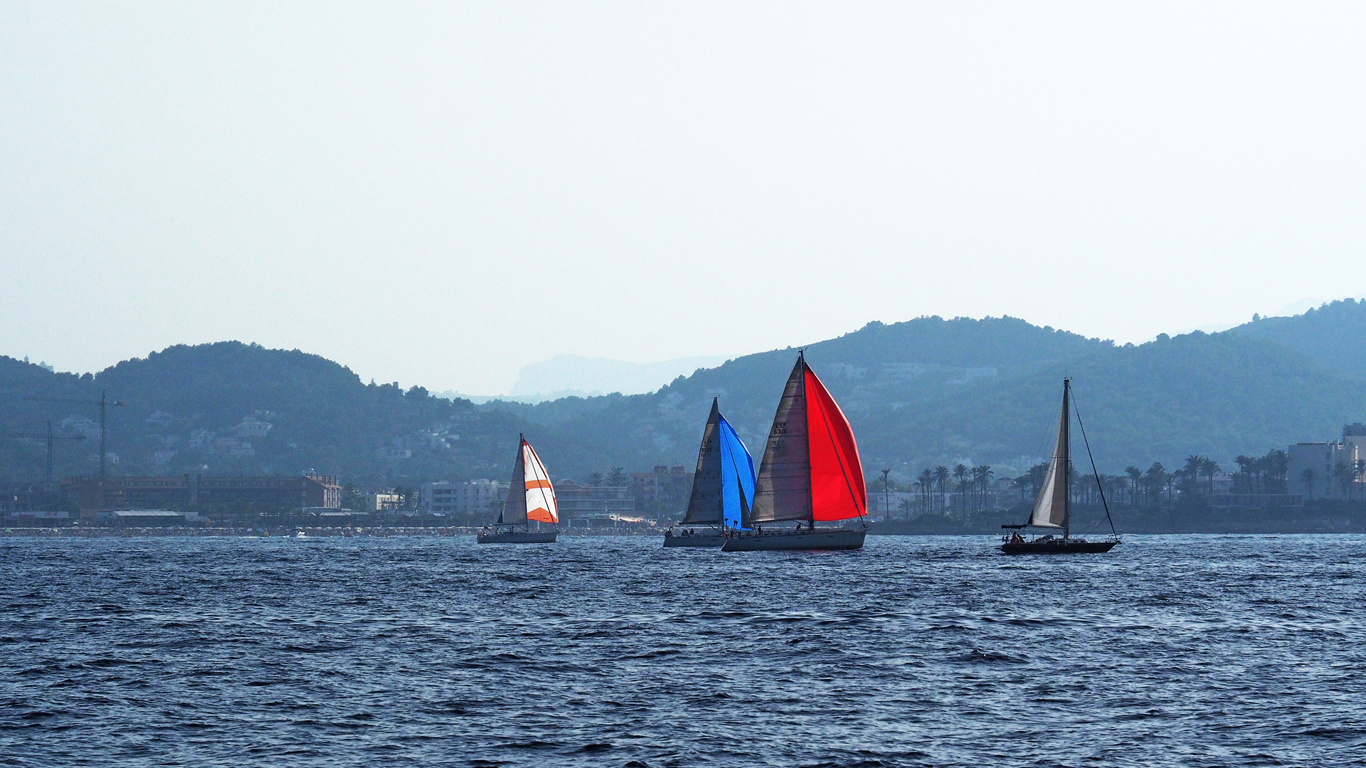 Balade en catamaran : rencontre colorée