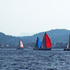 Balade en catamaran : rencontre colorée