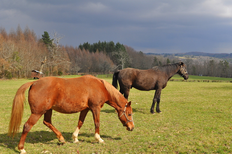 Balade en Corrèze