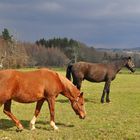 Balade en Corrèze