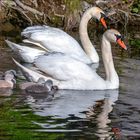 Balade en famille 