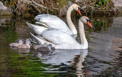 Balade en famille 