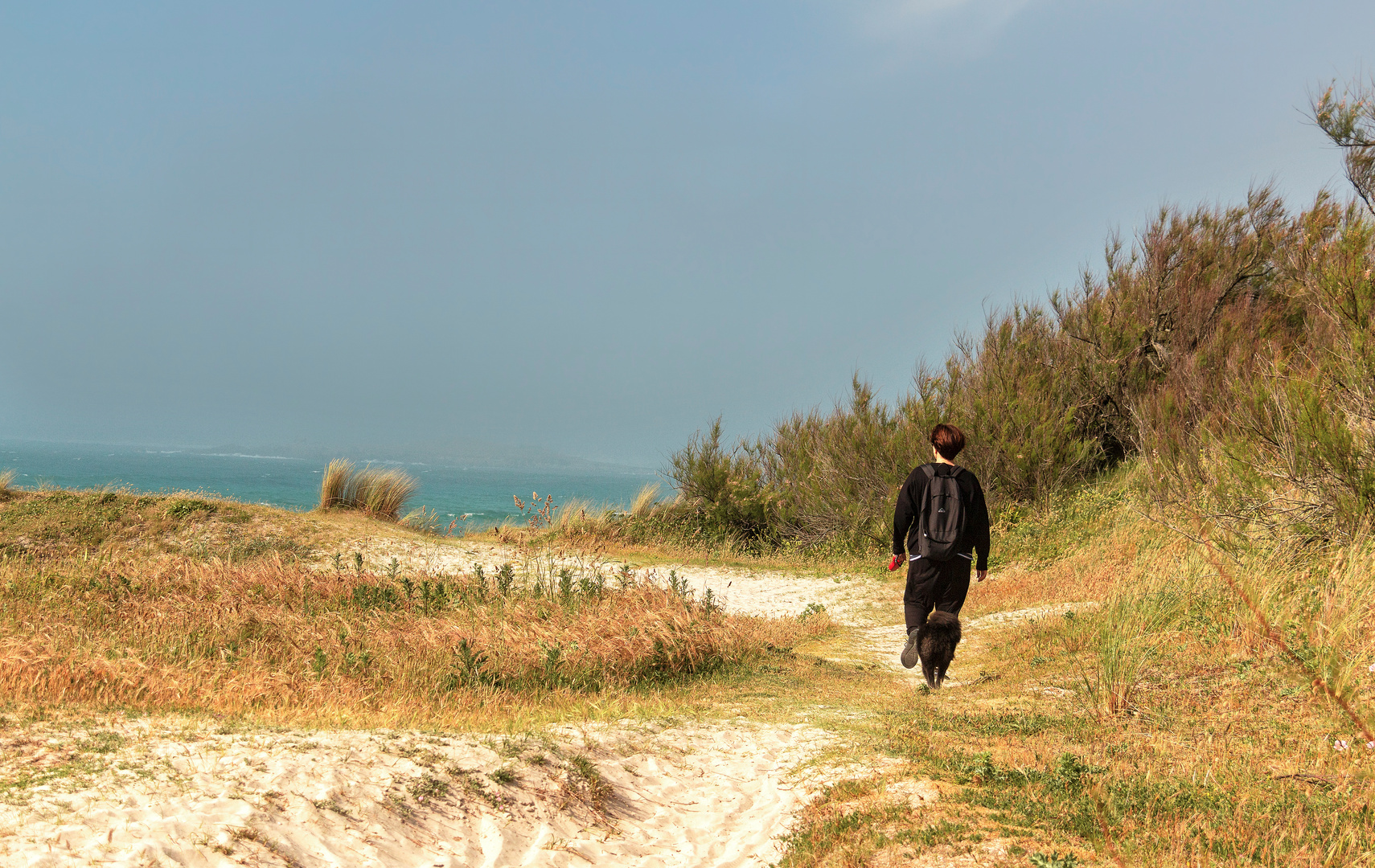 Balade en Finistère .