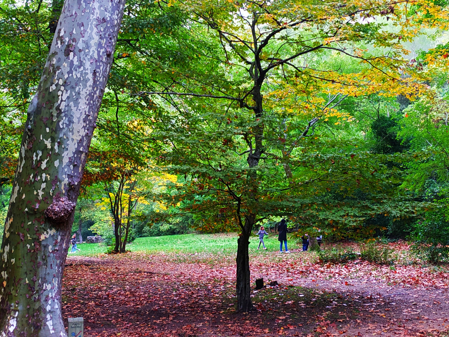 Balade en Novembre..